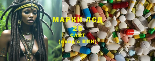 ешки Арсеньев