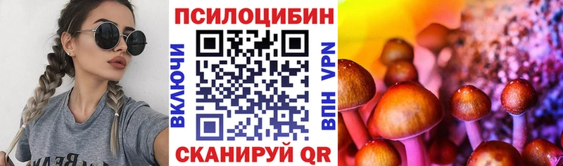 цены   Сольвычегодск  Псилоцибиновые грибы мухоморы 